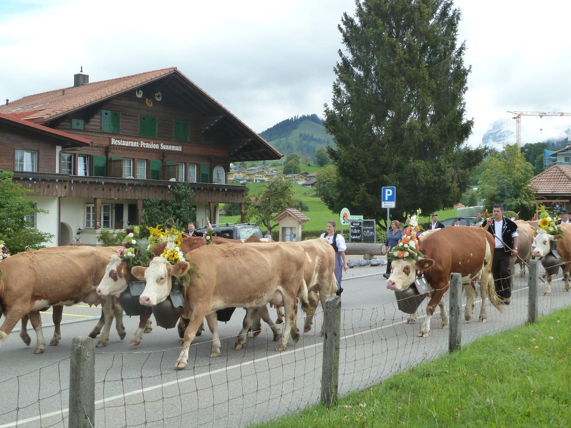 Hotel Restaurant Sunnmatt Aeschi Bei Spiez Ngoại thất bức ảnh