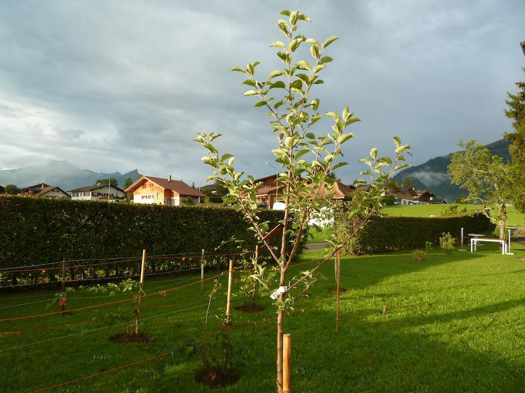 Hotel Restaurant Sunnmatt Aeschi Bei Spiez Ngoại thất bức ảnh